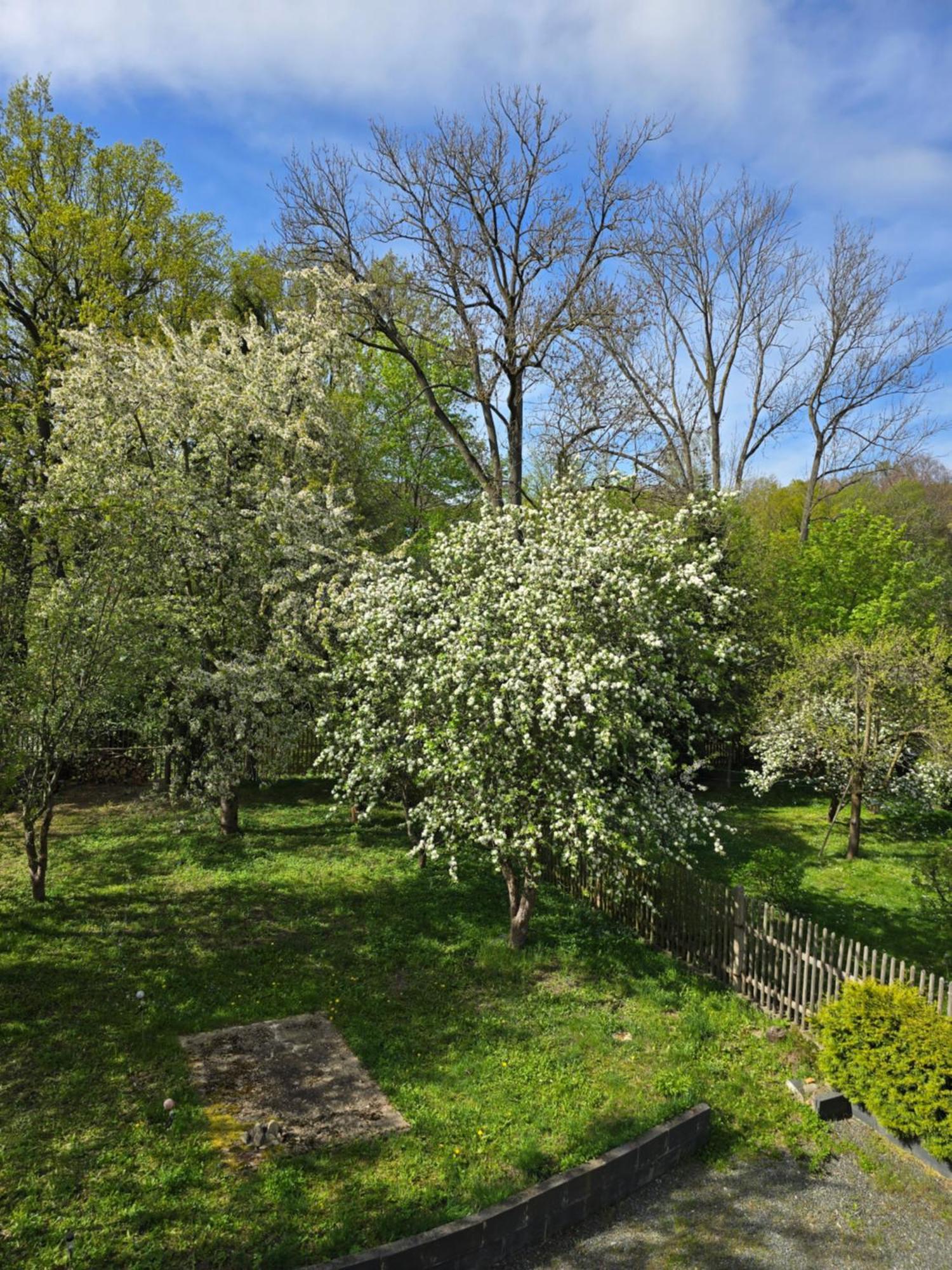 Villa Kuechwald Chemnitz Bagian luar foto