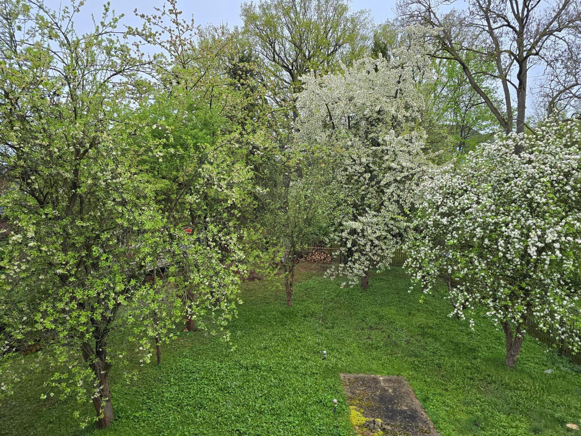 Villa Kuechwald Chemnitz Bagian luar foto