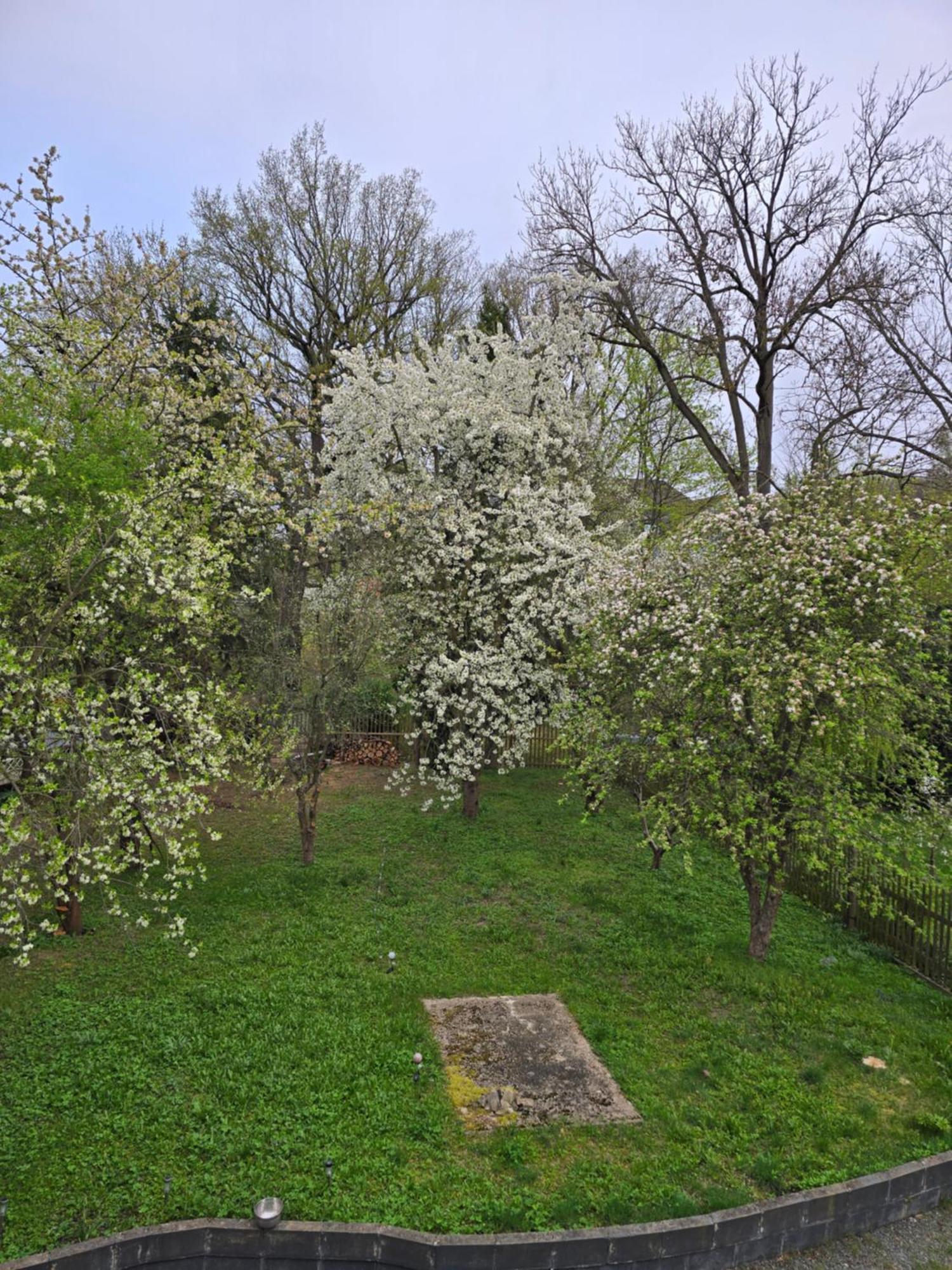 Villa Kuechwald Chemnitz Bagian luar foto