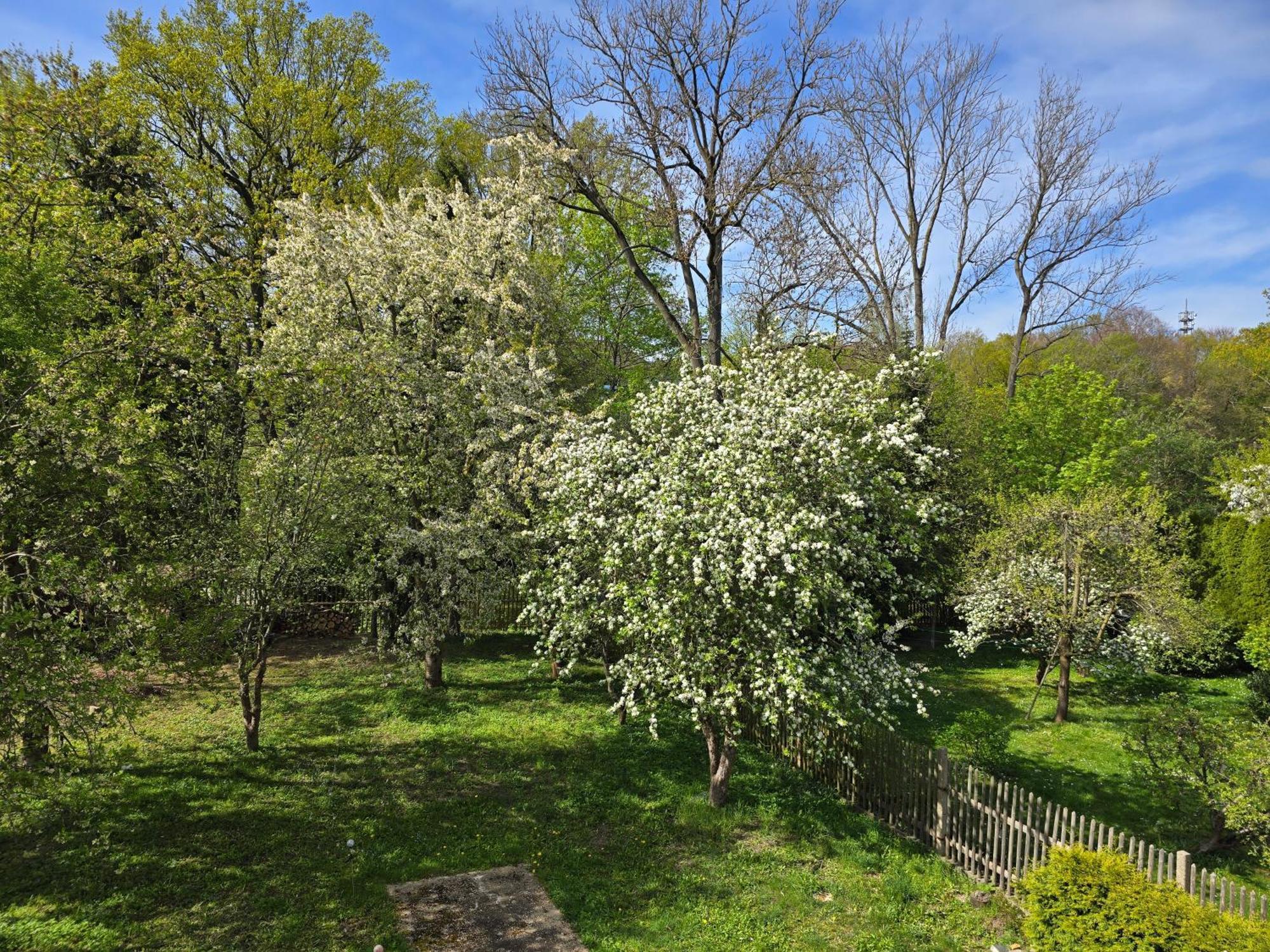 Villa Kuechwald Chemnitz Bagian luar foto