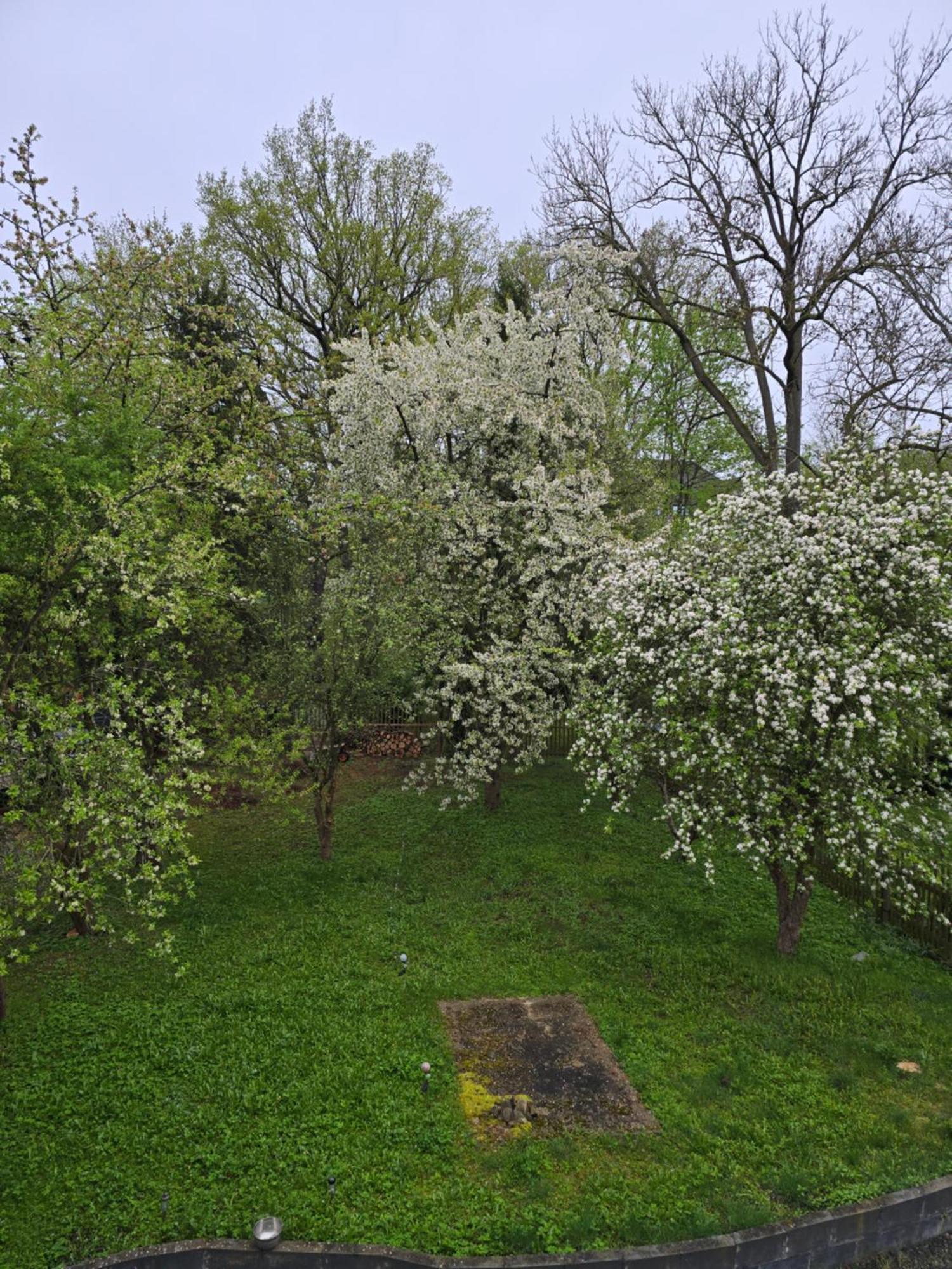 Villa Kuechwald Chemnitz Bagian luar foto